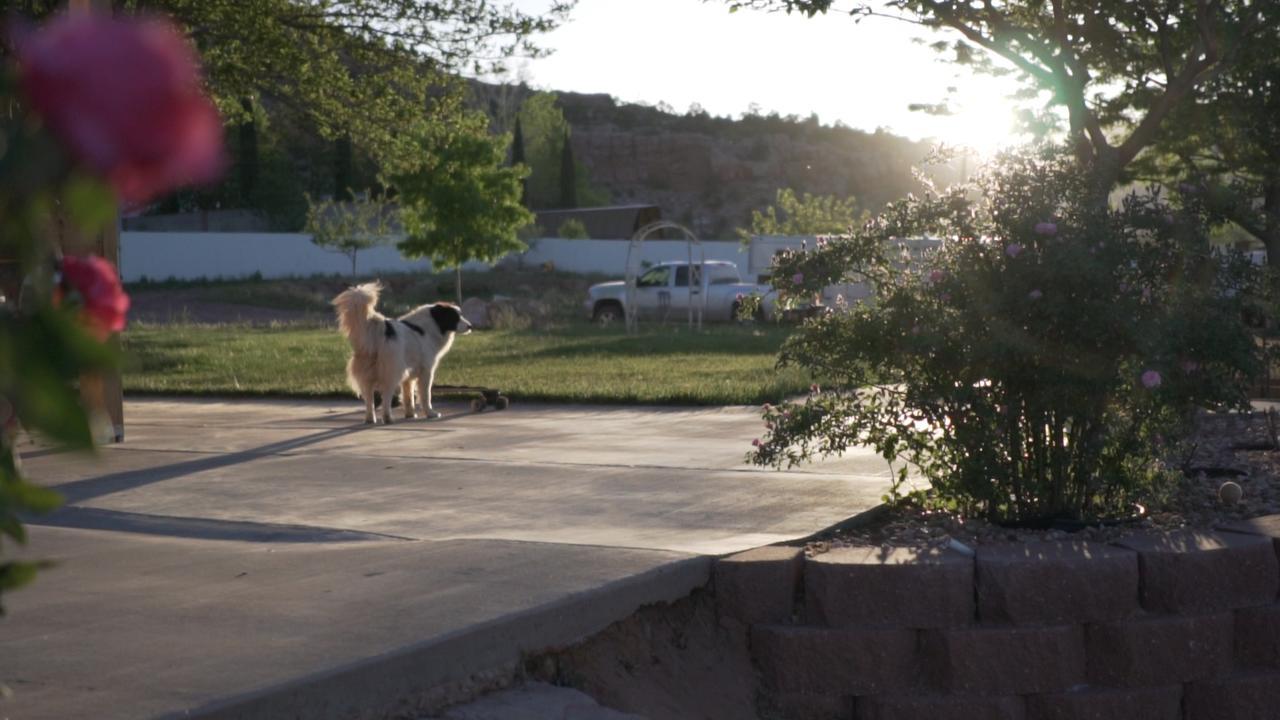 Zion'S Blue Sage Bed & Breakfast Hildale Exteriör bild
